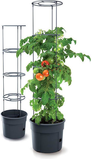 Ghiveci pentru cultivarea roșiilor, Y31.5x∅39.2cm