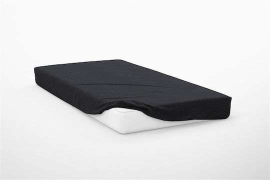 Dimcol Super-Doppel 160x200+30cm mit Gummizug Exotic Line Black