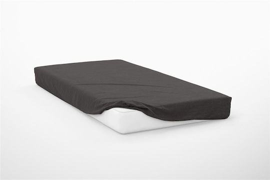 Dimcol King Size 180x200+30cm mit Gummizug Exotic Line Anthracite