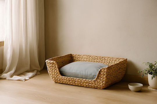 Janessa Cat Bed Length 67cm Dimensions cm Length 67 Depth 45 Height 16.5