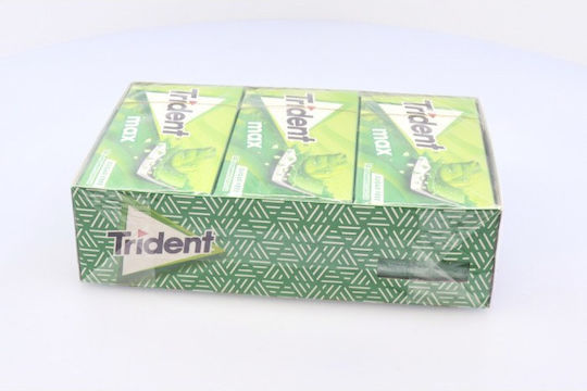 Trident Chewing Gum With Spearmint Flavour 12pcs 27gr
