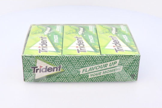 Trident Chewing Gum With Spearmint Flavour 12pcs 27gr