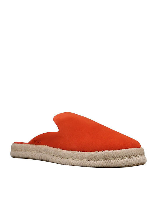 Toms