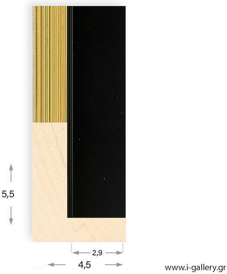 I-gallery Frame Wooden with Gold Frame