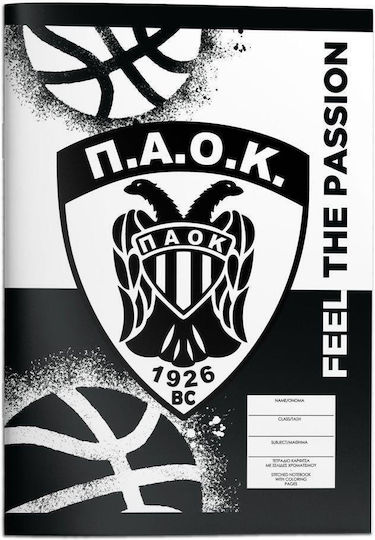 Diakakis Notebook Ruled B5 40 Sheets PAOK 1pcs (Μiscellaneous Designs)