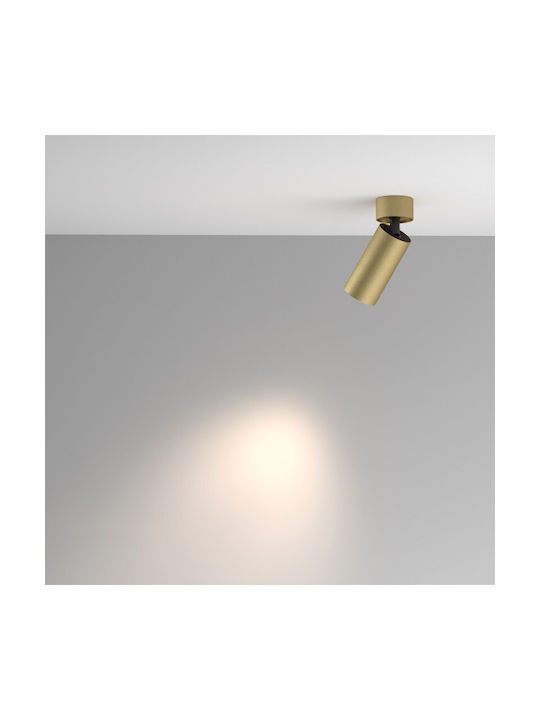 Maytoni Single Spot with Socket GU10 in Gold Color