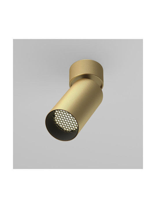 Maytoni Single Spot with Socket GU10 in Gold Color