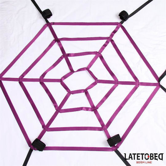 LateToBed Spider Web BDSM Kit
