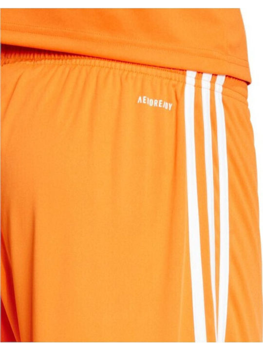 Squadra 25 Kurze Hosen Aussehen Fußball