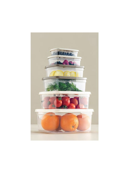 Viosarp Set Plastic Transparent Lunch Boxes 6 Pieces