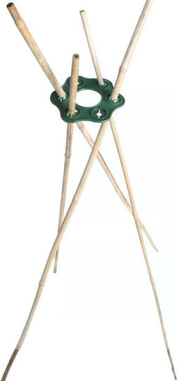 4 Pieces Bamboo Climbing Plant Support Stakes