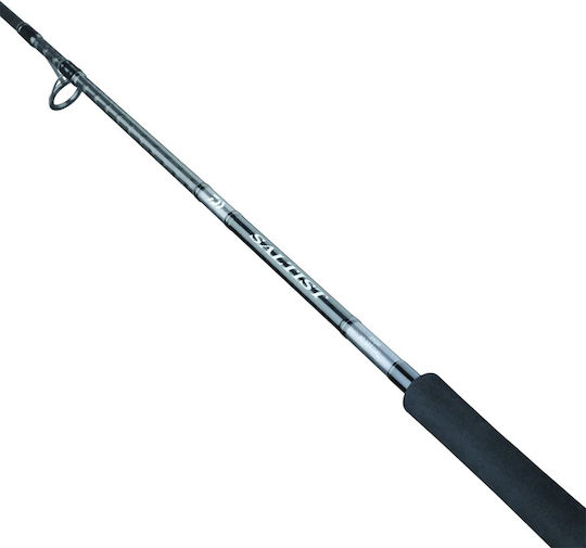 Daiwa Saltist X Καλάμι Ψαρέματος για Shore Jigging / Casting 2.74m 50gr