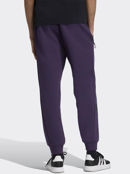 Z.n.e. Football Sweatpants Purple