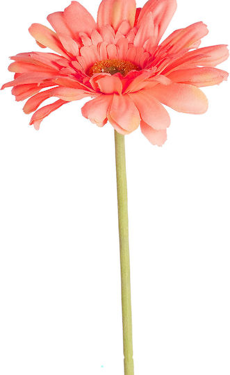 Florista Zerbera 62cm Orange Orange Tiefe 10cm X Breite 10cm X Höhe 62cm Florista Zerbera 62cm Orange Orange Tiefe 10cm X Breite 10cm X Höhe 62cm