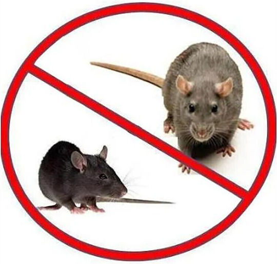 Rat-Stop Κόλλα