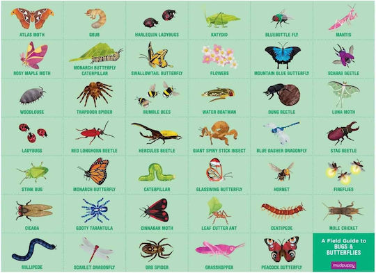 Kids Puzzle Bugs Butterflies for 3+ years+ Years 64pcs Mudpuppy