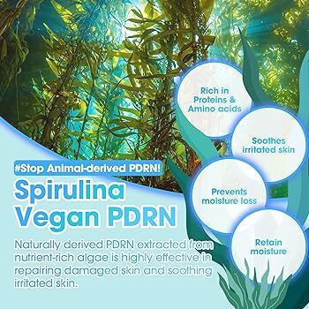 Some By Mi PDRN Spirulina Beruhigend Serum Gesicht 50ml