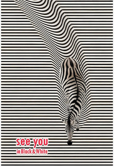 Black & White Spiral Heft Geregelt A4 2 Themen 1Stück (Μiverse Designs)