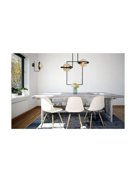 Light Home Light Home