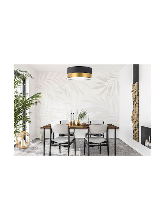 Light Home 