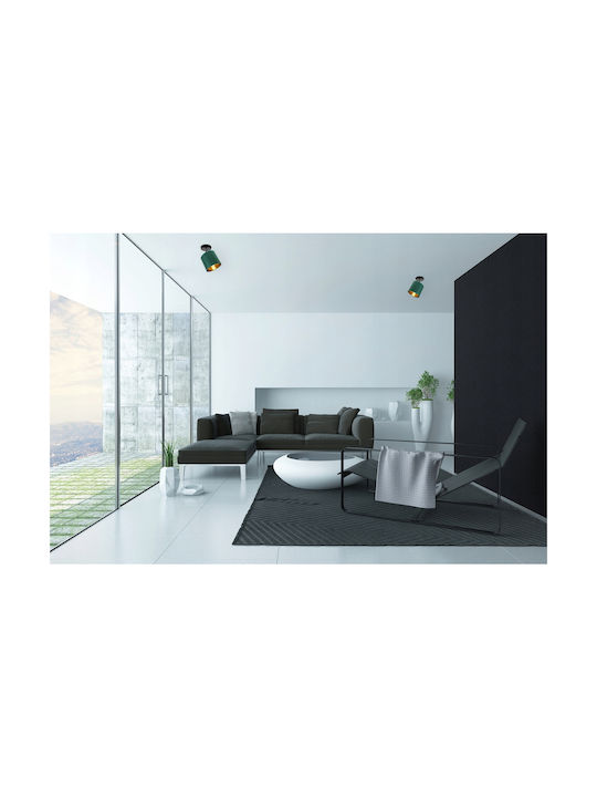 Light Home 