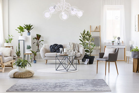 Light Home Πλαφονιέρα Οροφής Μαύρη