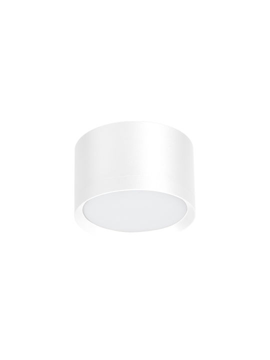 Eko Light Einzel Spot mit Fassung GX53 in Weiß Farbe