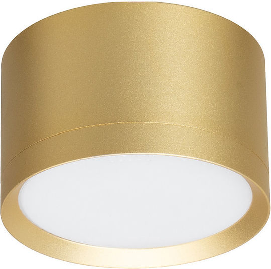 Eko Light Single Spot with Socket GX53 in Gold Color Eko Light Single Spot with Socket GX53 in Gold Color