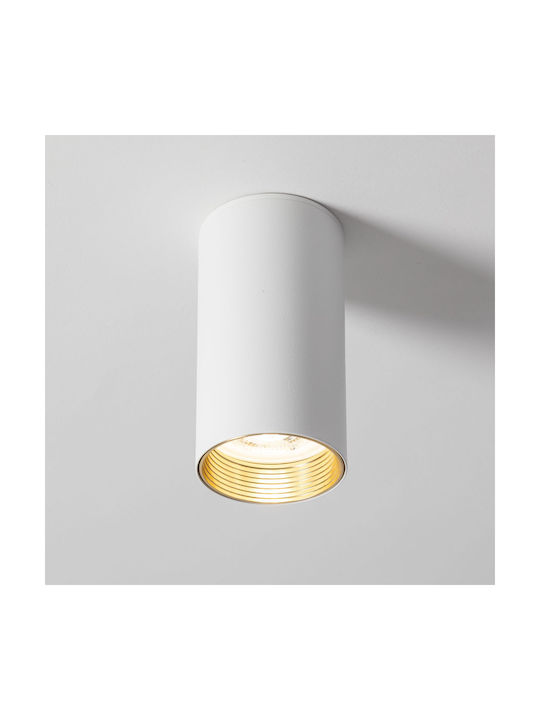 TK Lighting Spot in White Color