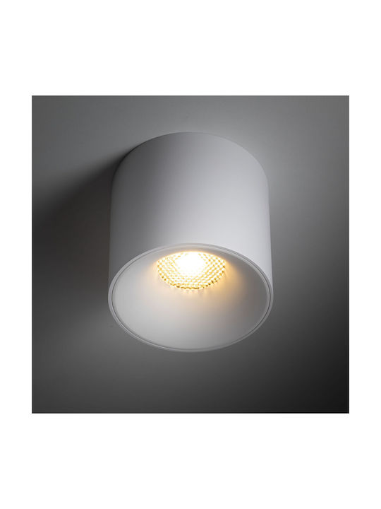 TK Lighting LED Warm zu kühlem Weiß Spot in Weiß Farbe
