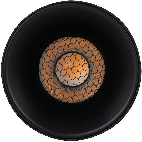 TK Lighting LED Warm to Cool White Spot in Black Color