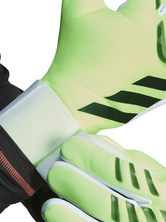 adidas Pred Gl Lge Torwarthandschuhe Erwachsene Grün