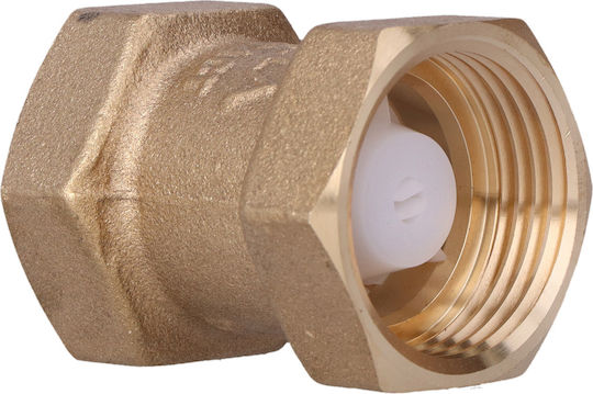 Verschiedene Rohrverbindungen Threaded Internal Check Valve Typ 601 1 Zoll