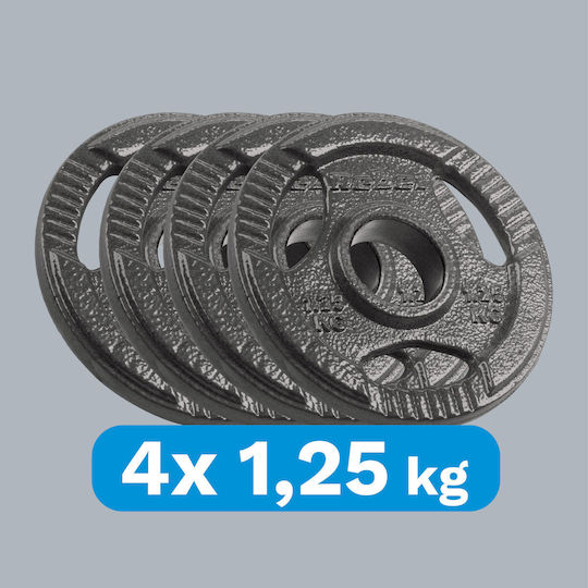 Rebel Scheibenset Olympischen Typs Metall 4 x 1.25kg Φ50mm mit Griffen