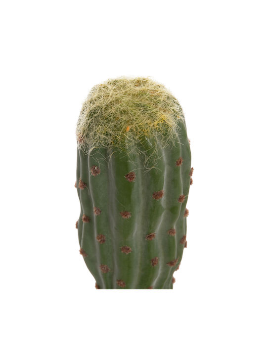 Decorative Synthetic Plant Hm4747 Cactus Pot Φ17 5x115cm