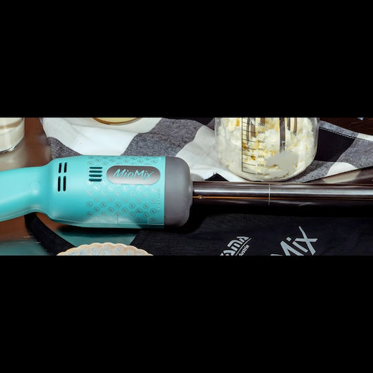 Fama Industrie Commercial Hand Blender 250W with Shaft