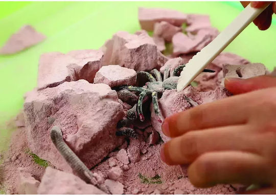 4M Φωσφορούχων Ζωυφίων Laboratory for 5+ years Years Old