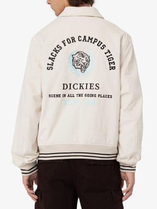 Dickies Dickies