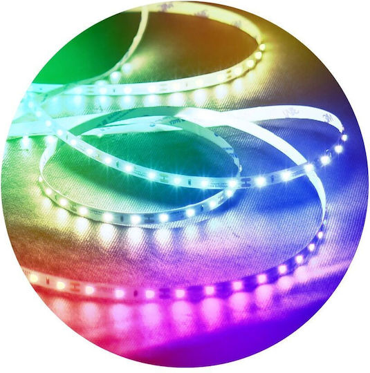 Modee Lighting Bandă LED 24V RGB Lumină 5m