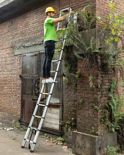 Veritas Telescopic Ladder Aluminum of Steps with Maximum Height 4.4m