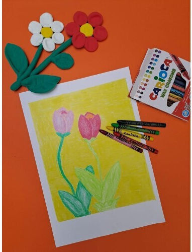 Carioca Wax Crayons Maxi Set von Buntstiften mit 50 Farben 42388