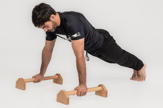 Rage Push Up Handles Set of 2