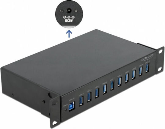 DeLock Hub 10 Θυρών USB 3.2 με σύνδεση USB-A