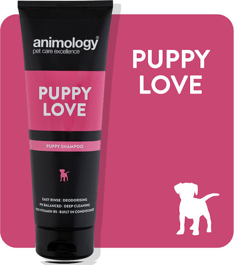 Animology Shampoo 250ml