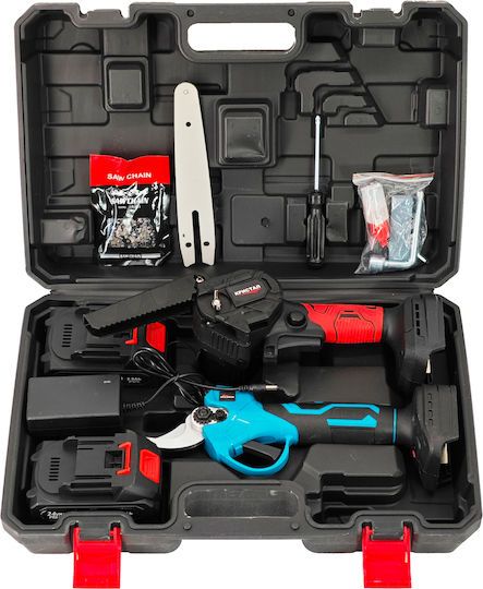 DDT Set Chainsaw Brushless 24V with Batteries 2Ah and Case