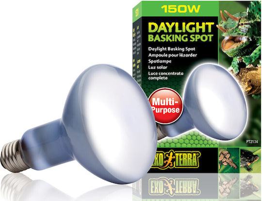 Exo Terra Basking Spot Accessory for Reptiles Terrarium PT2132