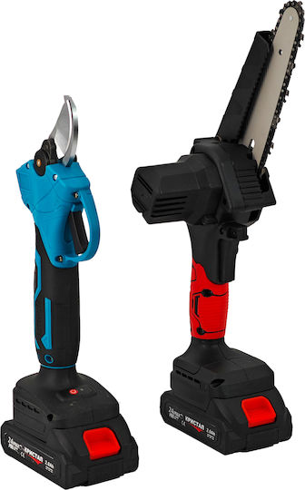 DDT Set Chainsaw Brushless 24V with Batteries 2Ah and Case