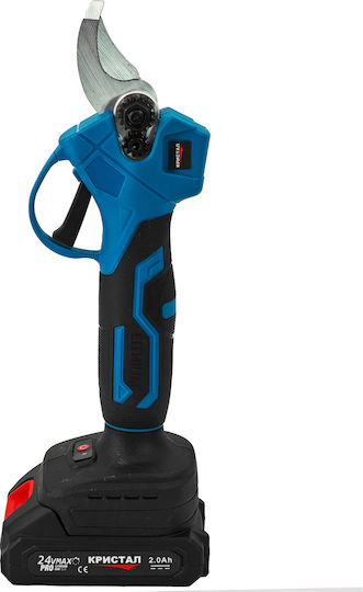 DDT Set Chainsaw Brushless 24V with Batteries 2Ah and Case