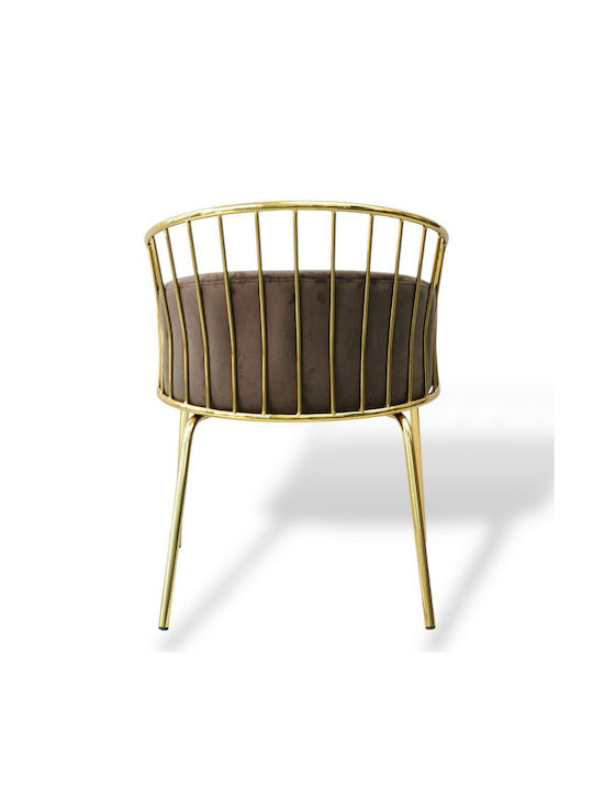 Scaune Sala de mese Gold, Velvet, Brown 1buc 83x62x50buc