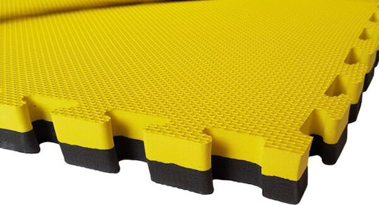Fitpro Boden Puzzle Fitnessstudio Doppelseitig 100x100x2cm 1Stück